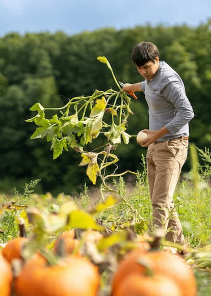 Christopher Hernandez